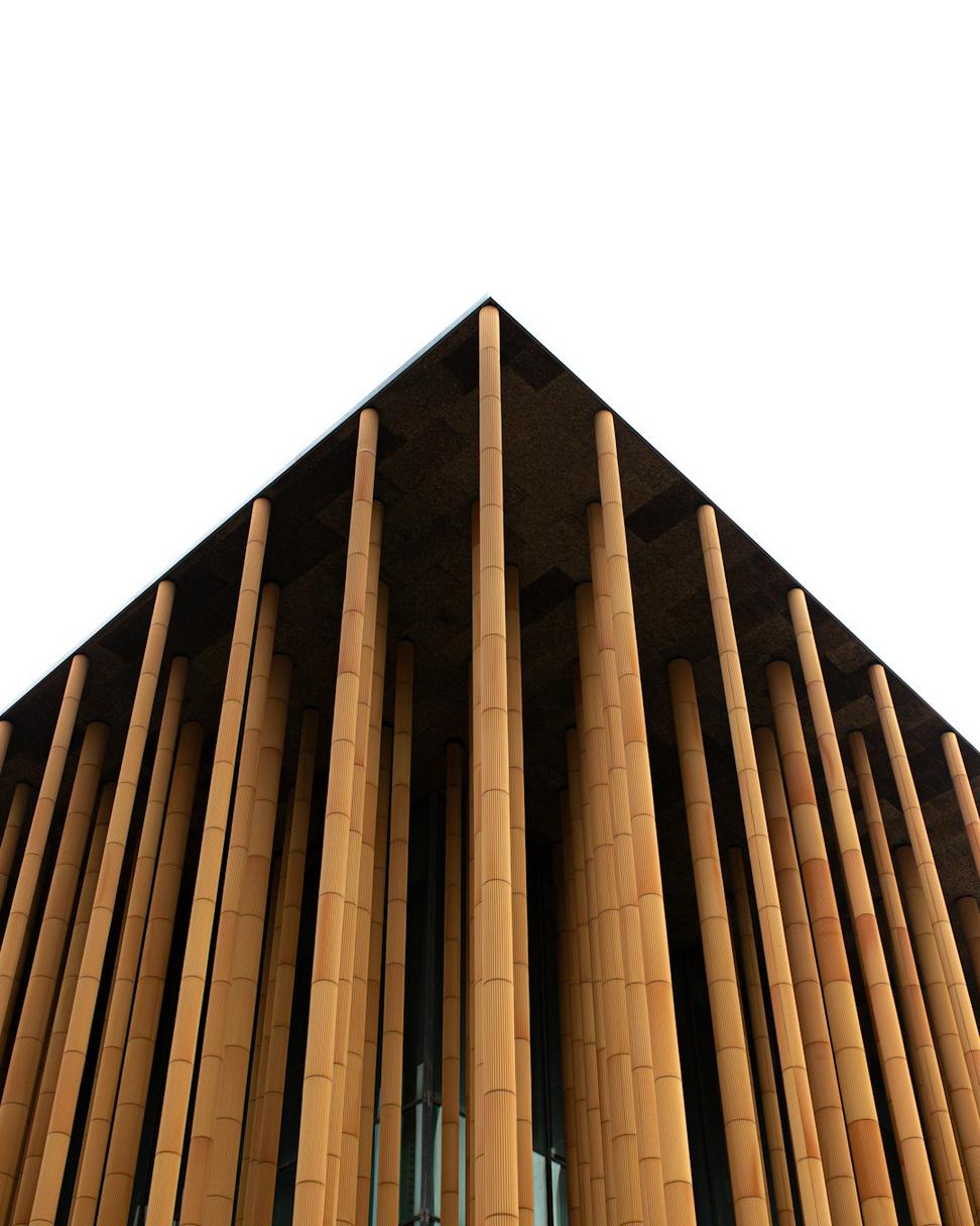 Cultural center project