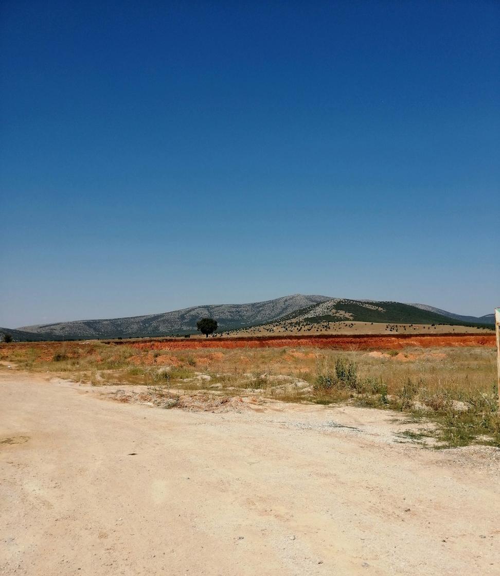 Archaeological site planning