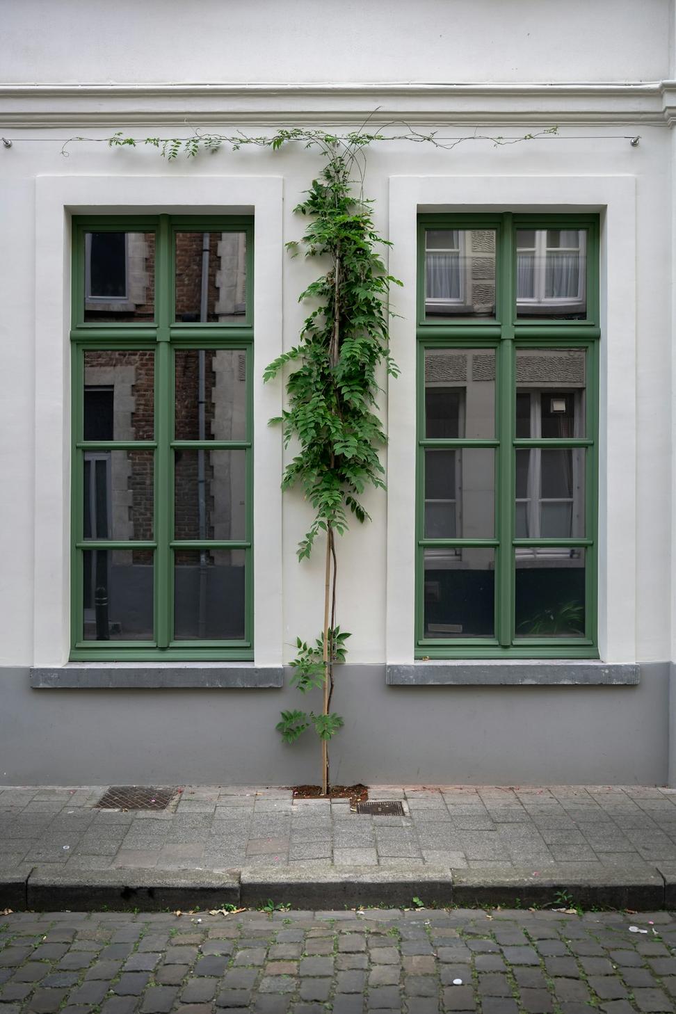 Sustainable residential exterior